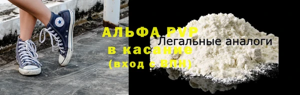 ПСИЛОЦИБИНОВЫЕ ГРИБЫ Новодвинск