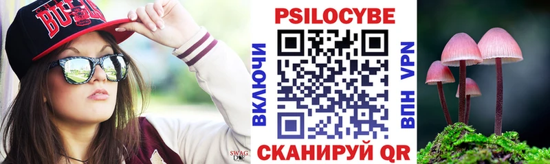 цены наркотик  omg рабочий сайт  Галлюциногенные грибы Psilocybine cubensis  Отрадный 